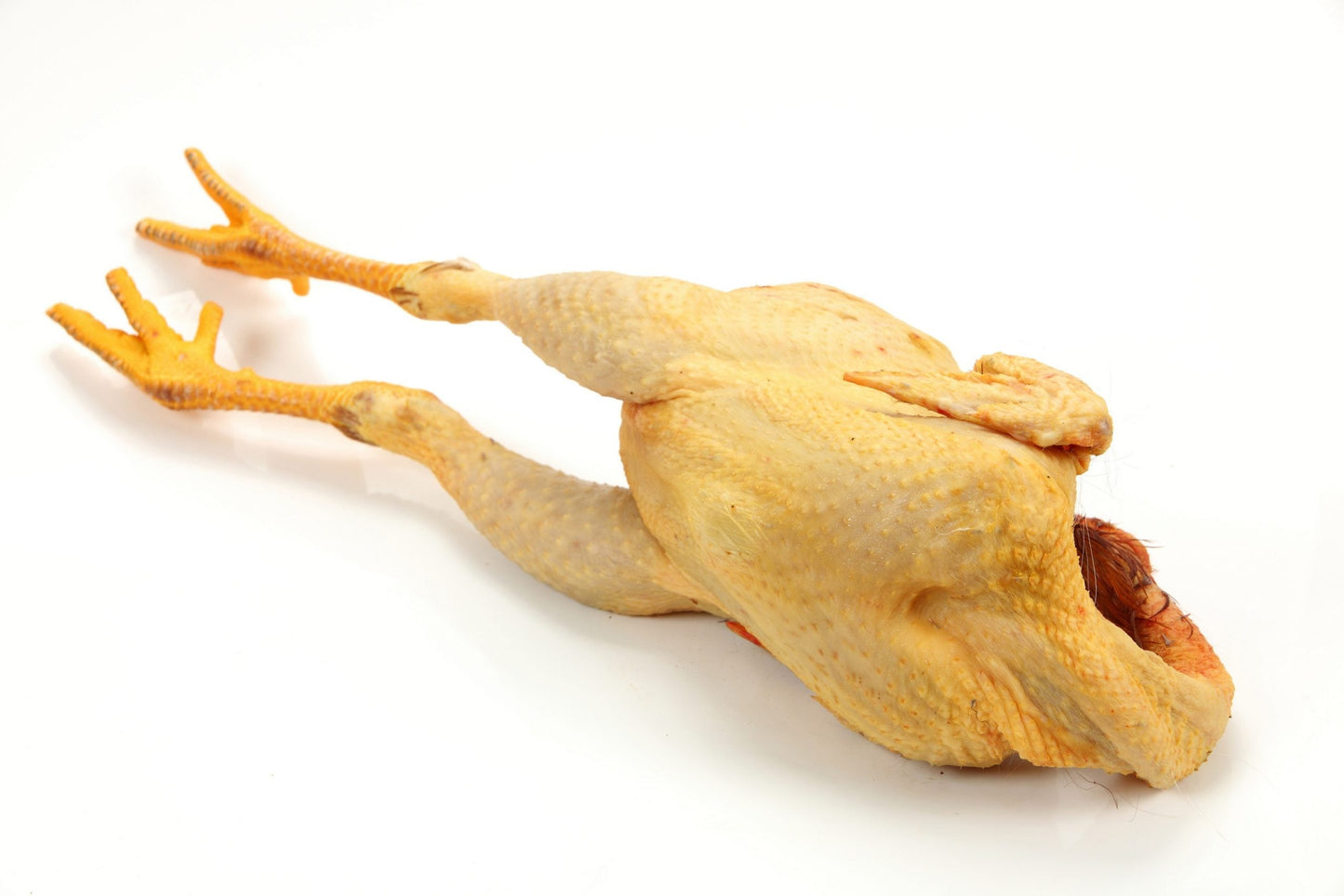 pollo de payes